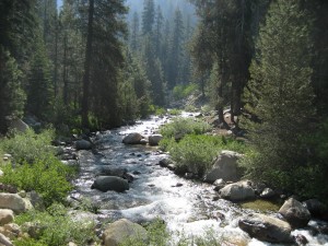 Sequoia National Forest